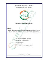 Phân tích hiệu quả hoạt Động kinh doanh của công ty cổ phần phát triển và Đầu tư thép việt, hà nội