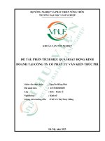 Phân tích hiệu quả hoạt Động kinh doanh tại công ty cổ phần tư vấn kiến trúc pbi