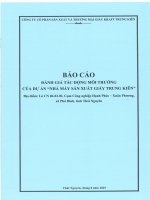 Báo cáo Đánh giá tác Động môi trường nhà máy sản xuất giấy trung kiên