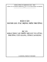 Báo cáo Đánh giá tác Động môi trường dự Án khai thác lộ thiên mỏ sắt nà lũng phương tân giang tỉnh cao bằng
