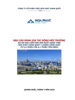 Báo cáo Đánh giá tác Động môi trường dự Án khu liên hợp sản xuất gang thép hòa phát dung quất 2