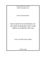 00050014121 Bảo Vệ Quyền Con Người Bằng Các Quy Định Về Hình Phạt Tước Tự Do Trong Luật Hình Sự Việt Nam.pdf