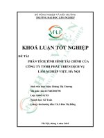 Phân tích tình hình tài chính của công ty tnhh phát triển dịch vụ lâm nghiệp việt, hà nội