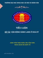 Tiểu luận: Vận động hành lang (Lobby) ở Hoa Kỳ – Lý luận, thực tiễn và bài học kinh nghiệm