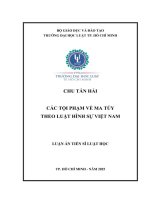 Các Tội Phạm Về Ma Túy Theo Luật Hình Sự Việt Nam