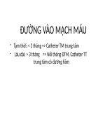 Đường vào mạch máu