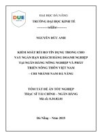 Kiểm soát rủi ro tín dụng trong cho vay ngắn hạn khách hàng doanh nghiệp tại ngân hàng nông nghiệp và phát triển nông thôn việt nam – chi nhánh nam Đà nẵng (tóm tắt)