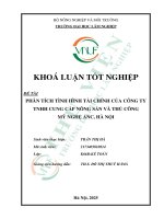 Phân tích tình hình tài chính của công ty tnhh cung cấp nông sản và thủ công mỹ nghệ anc, hà nội