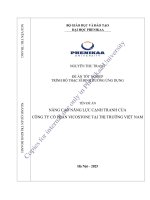 Nâng cao năng lực cạnh tranh của công ty cổ phần vicostone tại thị trường việt nam