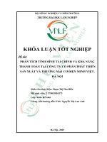 Phân tích tình hình tài chính và khả năng thanh toán tại công ty cổ phần phát triển sản xuất và thương mại cơ Điện minh việt, hà nội