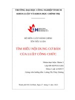 IUH | Tiểu luận LUẬT HÀNH CHÍNH | TÌM HIỂU NỘI DUNG CƠ BẢN CỦA LUẬT CÔNG CHỨC