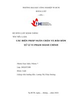 IUH | TIỂU LUẬN LUẬT HÀNH CHÍNH | CÁC BIỆN PHÁP NGĂN CHẶN VÀ BẢO ĐẢM XỬ LÍ VI PHẠM HÀNH CHÍNH