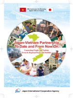 Japan vietnam partnership to date and from now on en