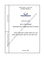 Nâng cao chất lượng nhân lực tại công ty cổ phần chế tác Đá việt nam