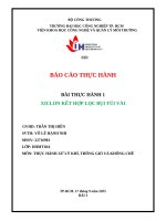 IUH | BÁO CÁO THỰC HÀNH | XICLON KẾT HỢP LỌC BỤI TÚI VẢI
