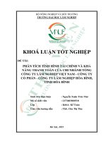 Phân tích tình hình tài chính và khả năng thanh toán của chi nhánh tổng công ty lâm nghiệp việt nam   công ty cổ phần   công ty lâm nghiệp hòa bình, tỉnh hòa bình