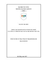 Chiến lược kinh doanh nến thơm của công ty tnhh nến Đại nam tại thị trường việt nam (tóm tắt)