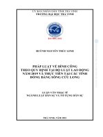 Pháp luật về Đình công theo quy Định tại bộ luật lao Động năm 2019 và thực tiễn tại các tỉnh Đồng bằng sông cửu long (tóm tắt)