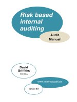 Internal audit Manual