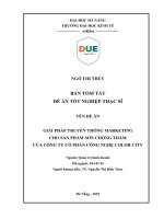 Giải pháp truyền thông marketing cho sản phẩm sơn chống thấm của công ty cổ phần công nghệ color city (tóm tắt)