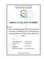 Phân tích hoạt Động tiêu thụ sản phẩm tại công ty cổ phần vật tư thương mại vĩnh phúc, huyện vĩnh tường, tỉnh vĩnh phúc