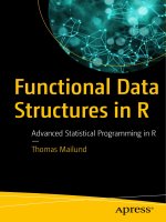 Functional Data Structures in R Advanced Statistical Programming in R