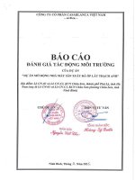 Báo cáo Đánh giá tcas Động môi trường dự Án mở rộng nhà máy sản xuất Đá Ốp lát thạch anh
