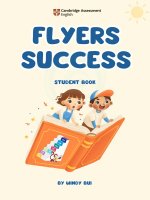 Flyers success sb demo