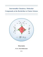 Intermetallic chemistry molecular compounds at the borderline to cluster science