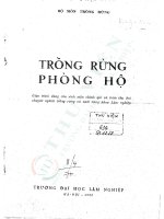 Trồng rừng phòng hộ