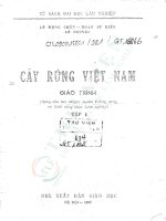 Cây rừng việt nam