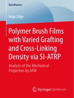 Polymer brush films with varied grafting and cross linking density via si atrp analysis of the mechanical properties by afm