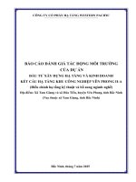 Báo cáo Đánh giá tác Động môi trường Đầu tư xây dựng hạ tầng và kinh doanh kết cấu hạ tầng kcn yên phong ii a