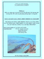 Báo cáo kết quả thực hiện nhiệm vụ năm 2009 kế hoạch tổng thể phòng ngừa và Ứng phó sự cố tràn dầu trên biển và ven biển việt nam Ở cấp trung Ương và cấp Địa phương