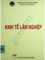 Kinh tế lâm nghiệp