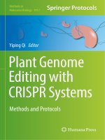 Plant genome editing with crispr systems methods and protocols
