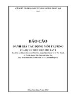 Báo cáo Đtm dự Án thủy Điện phú tân 1, nlm 28mw