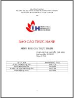 IUH | BÁO CÁO THỰC HÀNH MÔN: PHỤ GIA THỰC PHẨM | Bài 4: PHỤ GIA CẢI TẠO CHẤT LƯỢNG BỘT MÌ