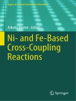 Ni  and fe based cross coupling reactions