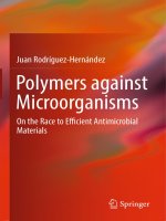 Polymers against microorganisms on the race to efficient antimicrobial materials