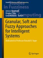 Granular, soft and fuzzy approaches for intelligent systems dedicated to Professor Ronald R. Yager.