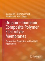 Organic inorganic composite polymer electrolyte membranes preparation, properties, and fuel cell applications