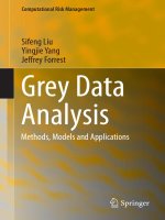 Grey data analysis methods, models and applications.