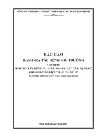 Báo cáo Đánh giá tác Động môi trường dự Án Đầu tư xây dựng và kinh doanh kết cấu hạ tầng kcn châu giang ii
