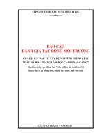 Báo cáo Đánh giá tác Động môi trường của dự Án Đầu tư xây dựng công trình khai thác Đá hoa trắng làm bột carbonat canxi