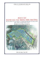 Báo cáo Đánh giá tác Động môi trường dự Án Đầu tư xây dựng và kinh doanh kết cấu hạ tầng kcn phú xuân