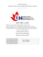 IUH | BÀI TIỂU LUẬN QUẢN TRỊ THƯƠNG HIỆU TRANG PHỤC | NGHIÊN CỨU VÀ PHÂN TÍCH CHIẾN LƯỢC QUẢN TRỊ THƯƠNG HIỆU CỦA CÁC THƯƠNG HIỆU TRONG VÀ NGOÀI NƯỚC