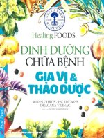 Dinh dưỡng chữa bệnh gia vị và thảo dược healingfoods 2016