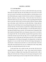 Tiểu luận - Văn hóa ẩm thực của vùng Bắc Trung Bộ