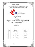 IUH | THỰC HÀNH ĐỀ TÀI PHỤ GIA CẢI TẠO CHẤT LƯỢNG BỘT MÌ